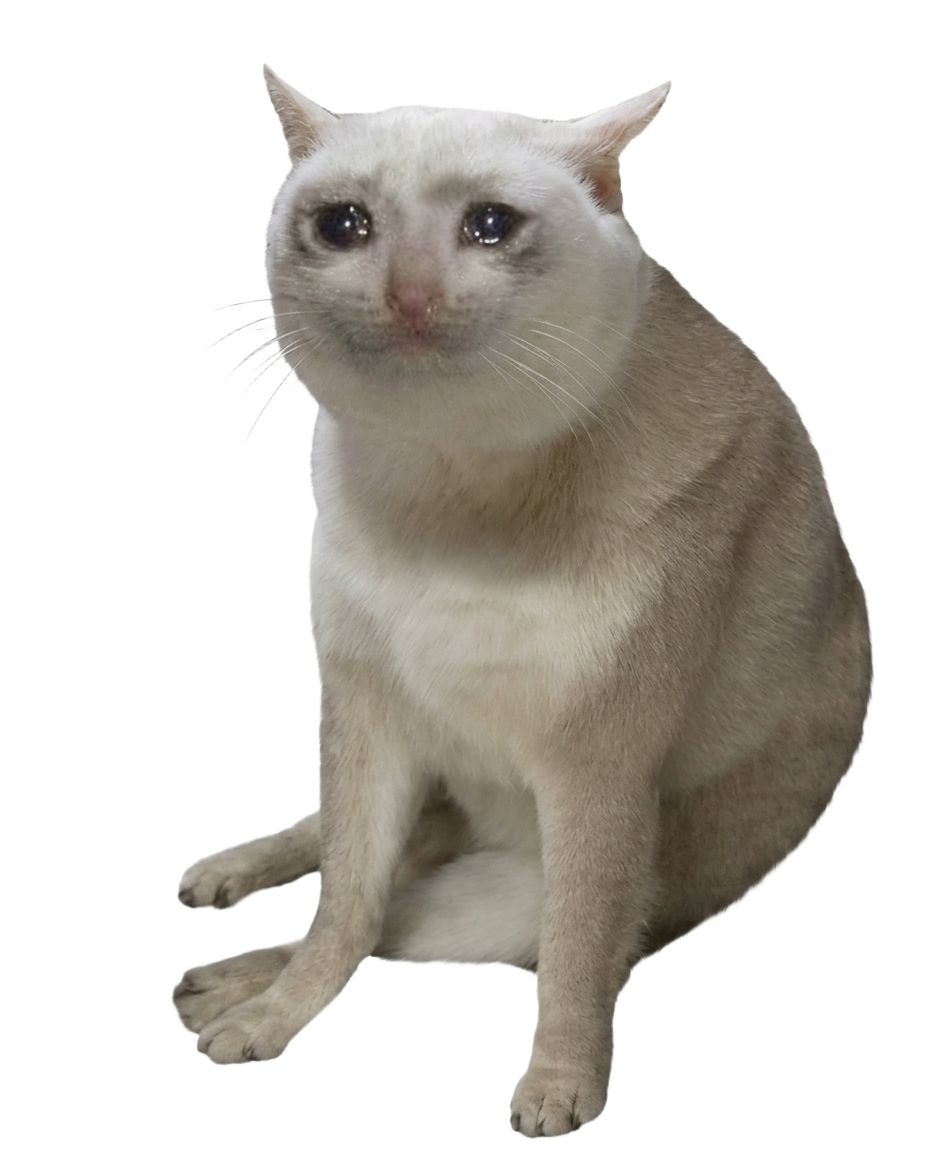 Sad Cat